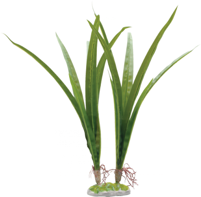 This Beautiful Acorus Plant Adds A Realistic Look To - Fish Tank Plant Png (400x400), Png Download