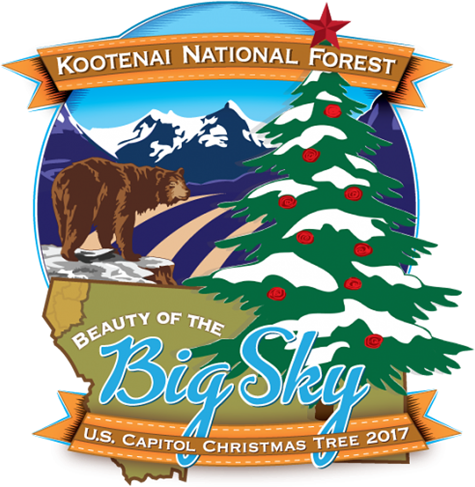 Capitol Christmas Tree 2017 (1381x1067), Png Download