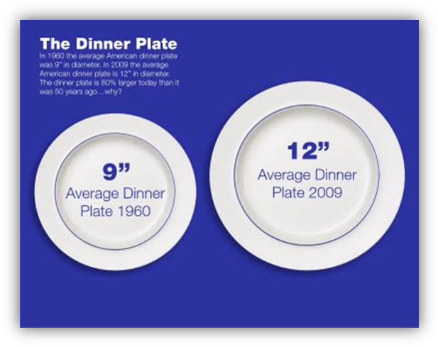 I Came Across The Interesting Image Above Of The Average - Standard Sizes Of Plates (626x498), Png Download