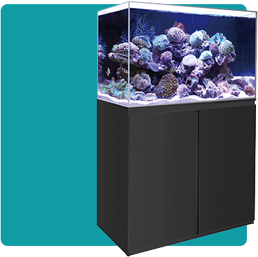 Fish Tank Pond Aquarium Supplies Allpondsolutions - Marine Tanks (389x389), Png Download