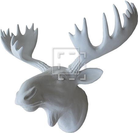 Moosehead Side View - Elk (450x450), Png Download
