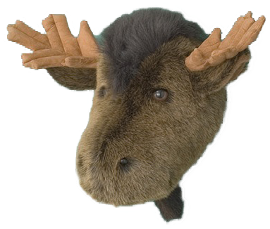Moose Head Stuffed Animal Wall Mount Hunter Nursery (491x358), Png Download