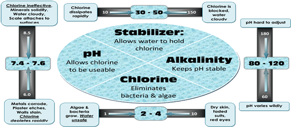 Basic Pool Water Chemistry - Pool Water Chemistry (620x250), Png Download