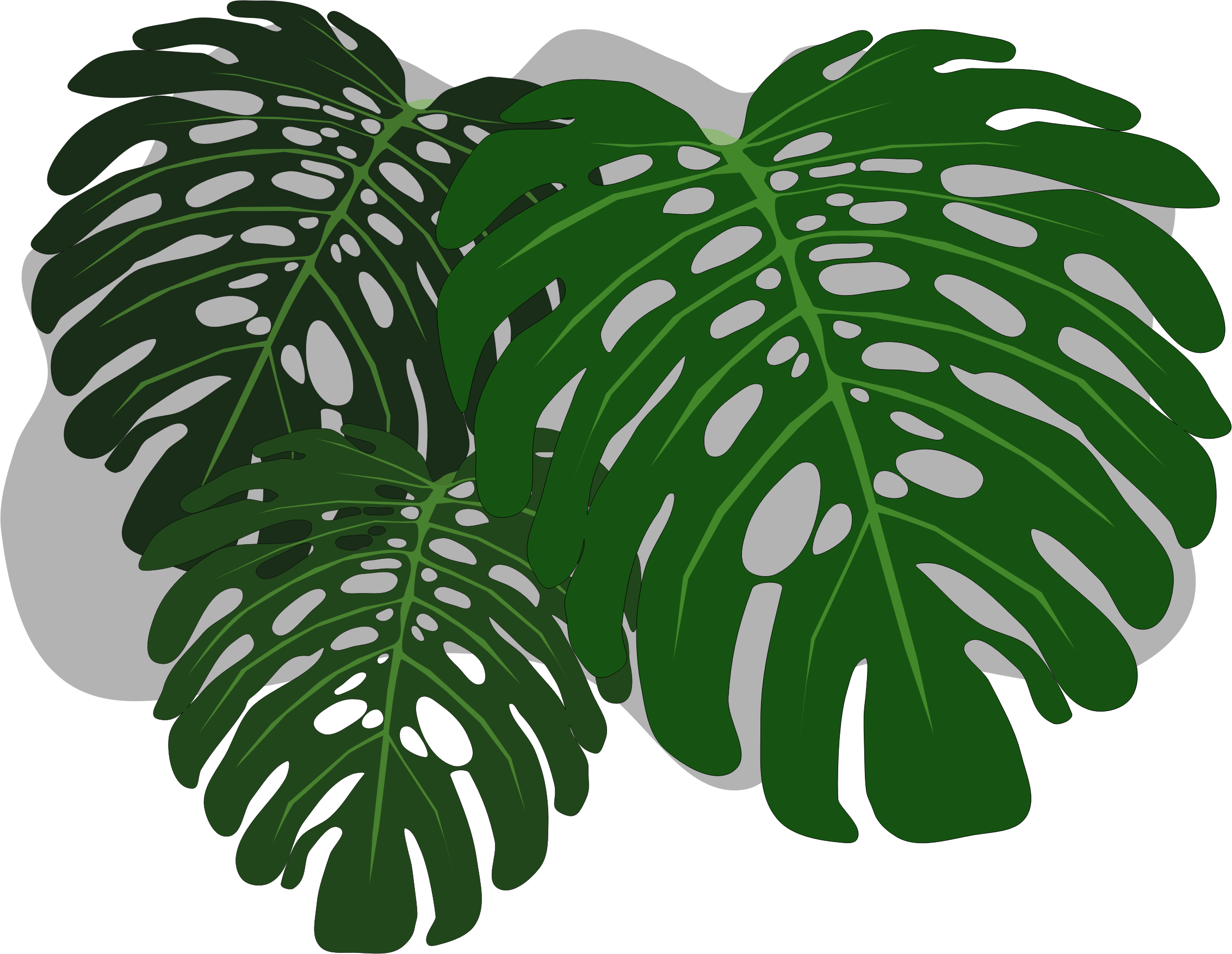 Big Image - Philodendron Leaf Png (2265x1755), Png Download