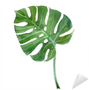 Monstera Leaf Vector (400x400), Png Download