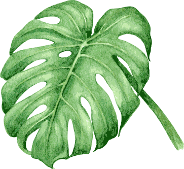 On Arrival - Tropical Leaves Vector Watercolour (363x333), Png Download