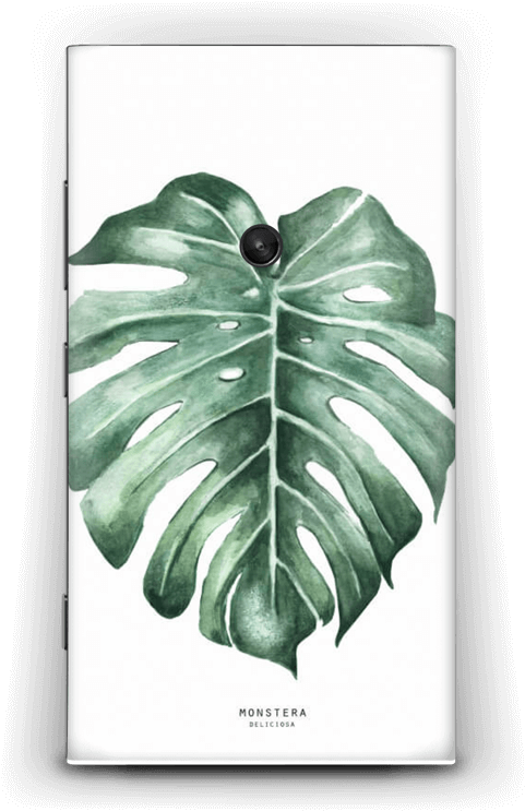 Monstera Deliciosa - Iphone 8 Skal Monstera (534x800), Png Download