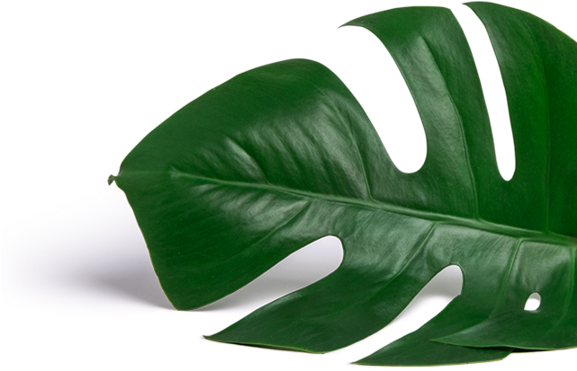 Toggle Navigation - Survival Kit - Set Of 8 Bachelorette Label Stickers (641x636), Png Download