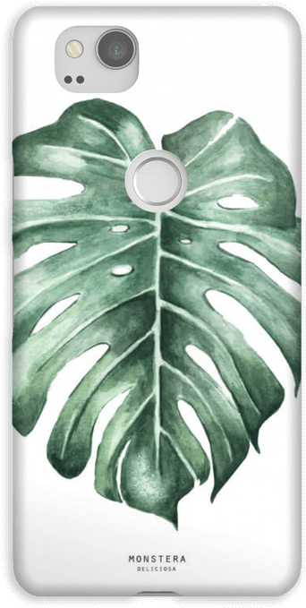 Monstera Deliciosa Case Pixel - Iphone 8 Skal Monstera (484x800), Png Download