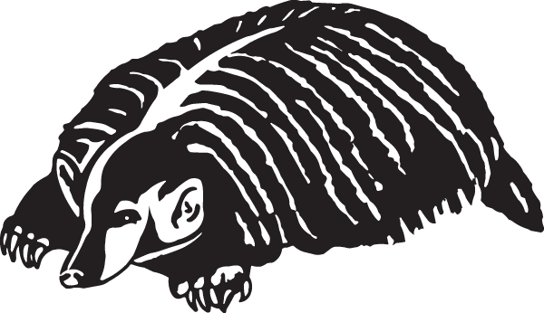 Insinkerator Badger 1 Garbage Disposal (600x346), Png Download