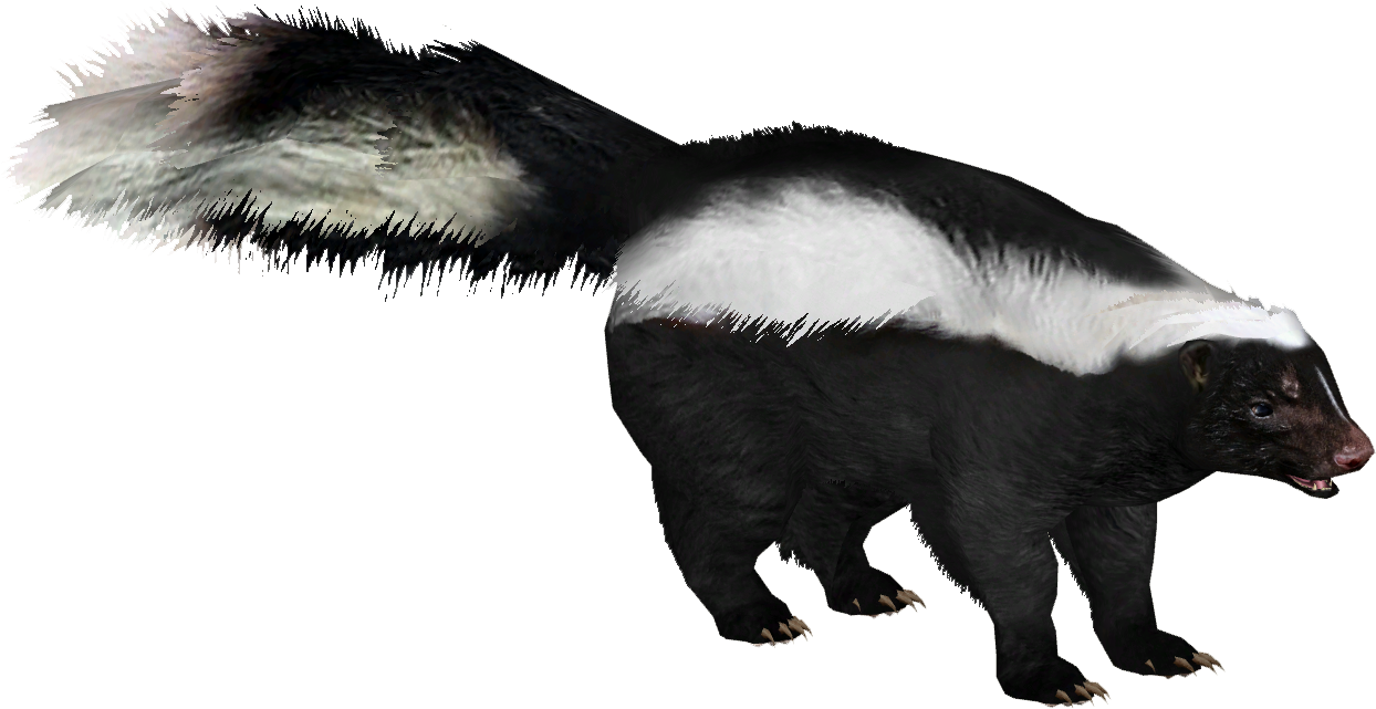 Striped Skunk 8 - Far Cry 5 Skunk (1243x1243), Png Download