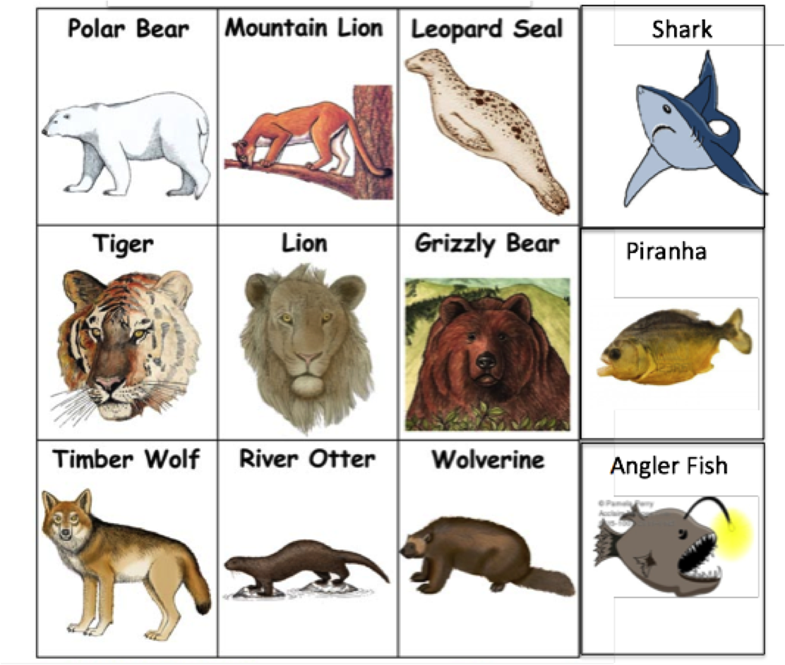 Finally - Nile Crocodile Trophic Levels (1112x943), Png Download