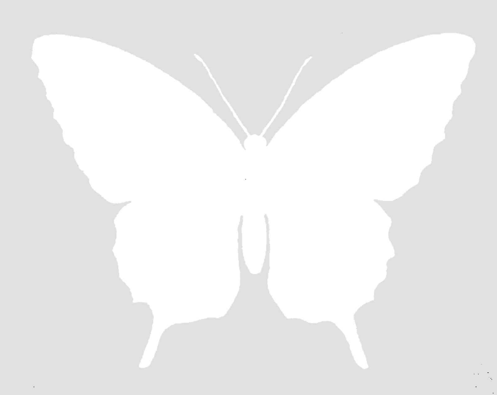 Digital Cut Out Silhouette - Butterfly Silhouette (1600x1274), Png Download
