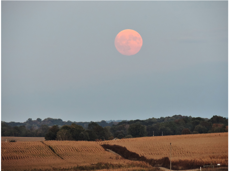 Wzzm 13 On Your Side On Twitter - Field (1200x675), Png Download