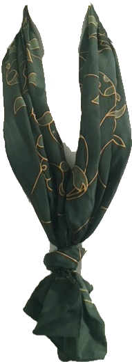 Agave (362x640), Png Download