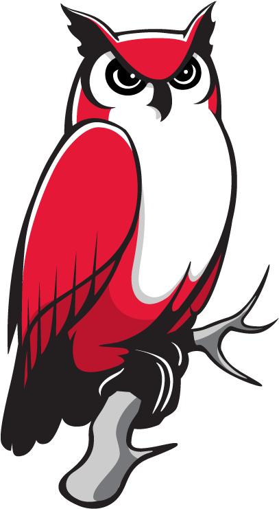 Print - Keene State College Owl (464x800), Png Download