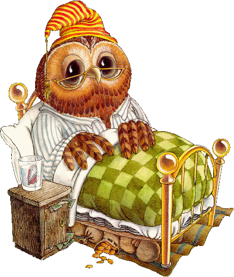 Owl In Bed - Dulces Suenos Con Buhos (460x545), Png Download