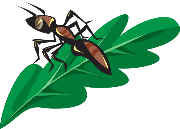 How To Set Use Brown Ant On A Leaf Svg Vector (600x433), Png Download