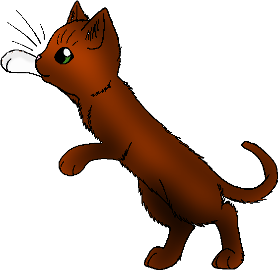 Squirrelpaw Entry - Brackenpaw Warriors (623x597), Png Download