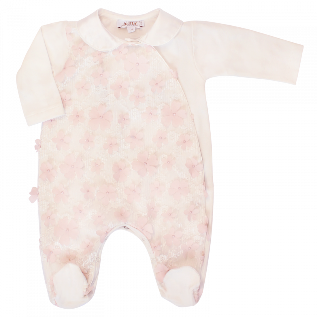 Cream Babygrow In Cotton Jersey With Lace And Pink - Marine Invertebrates (1100x1100), Png Download