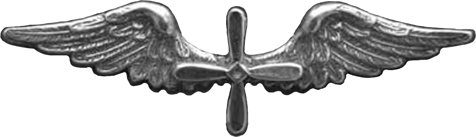 Enlisted Aviator Badge - Aviator Badges (1612x465), Png Download