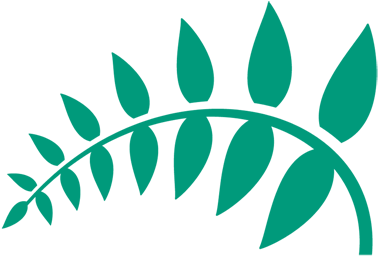 Corporate Responsibility - Forest Holidays Logo (500x255), Png Download