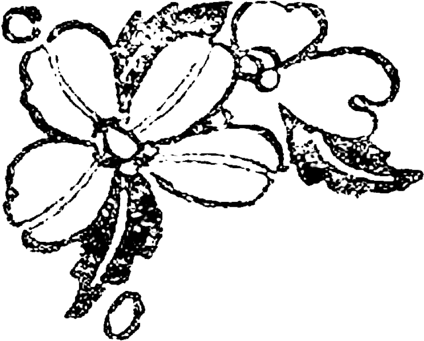 Digital Stamp Design - Digital Stamp (1368x855), Png Download