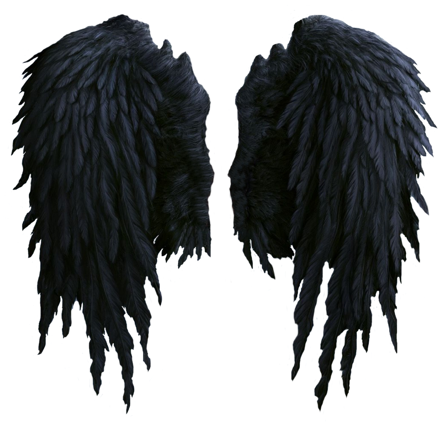 Black Angel Wings Png (1109x1024), Png Download
