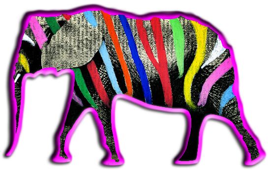 Elefante, Tênis, Cupido, Nuvem, Paz, Ônibus, Pergaminho, - Indian Elephant (562x358), Png Download
