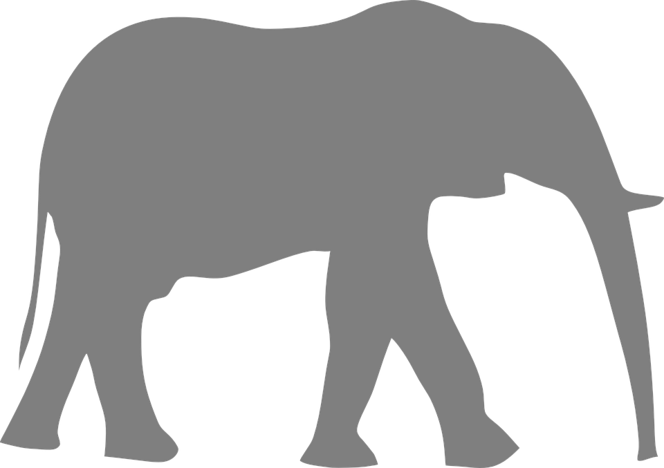 Elephant Free Vector Graphics On - Elephant Clip Art (960x677), Png Download