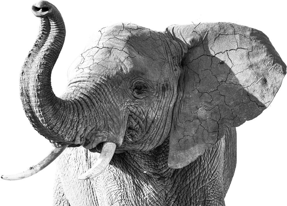 Revisa Tu Correo Y Asegúrate De Tener La Confirmación - Aptitude (1029x710), Png Download