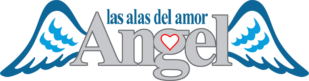 Logo Ángel, Las Alas Del Amor - Logos De Alitas De Angel (1000x265), Png Download