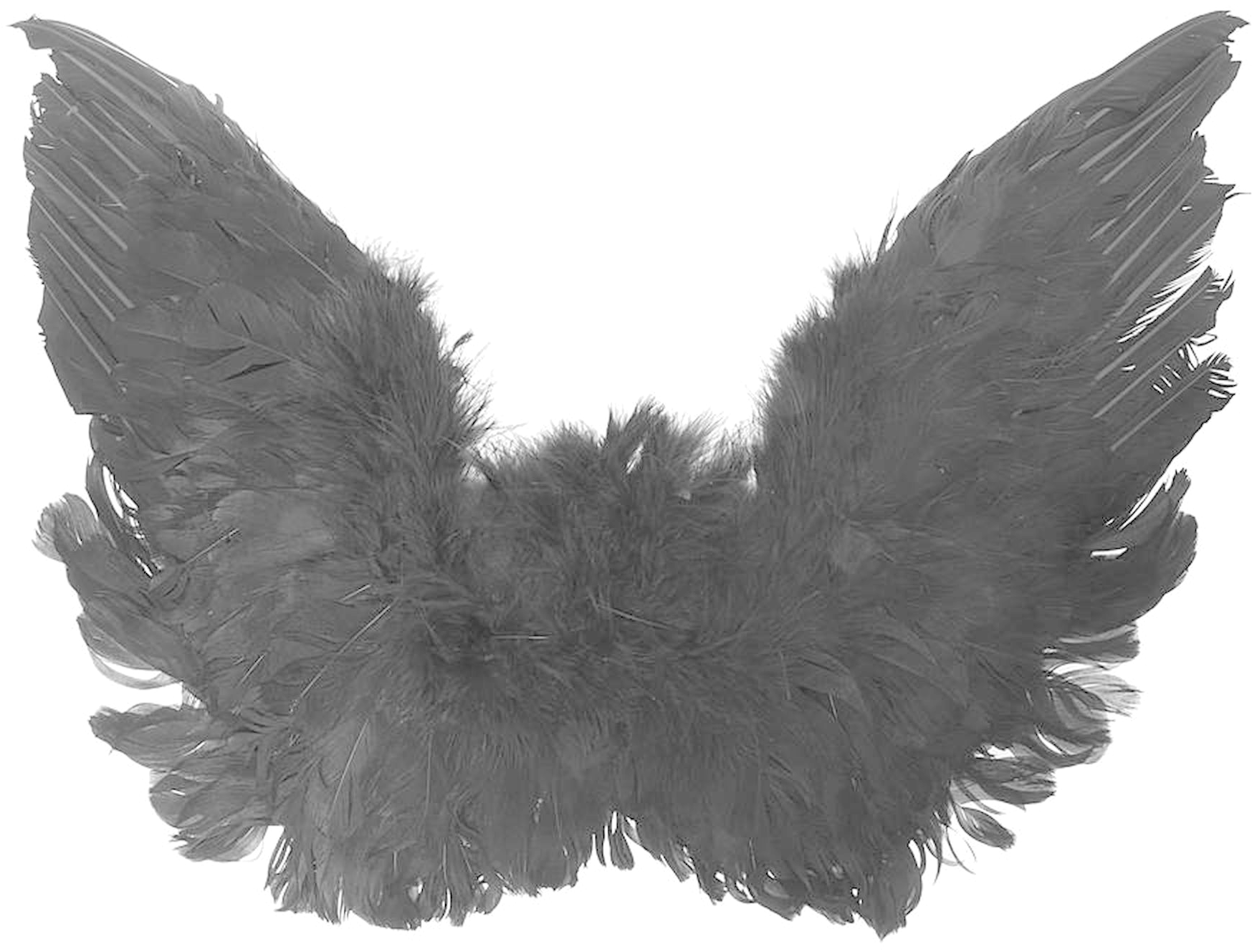 Black Angel Wings Png High-quality Image - Free Black Angel Wings (2000x2000), Png Download