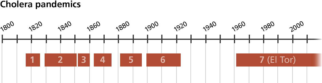 A - Cholera Pandemics Timeline (1200x374), Png Download