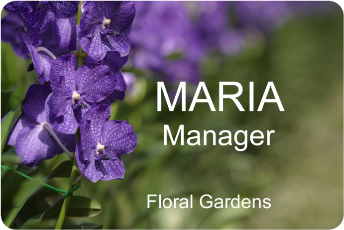 Large Name Tag 3" X 2" - Metal (800x800), Png Download