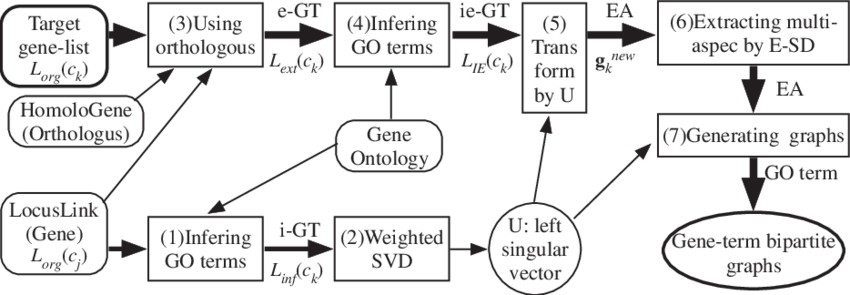Rounded-rectangles Indicate Input Data, Rectangles - Diagram (850x295), Png Download