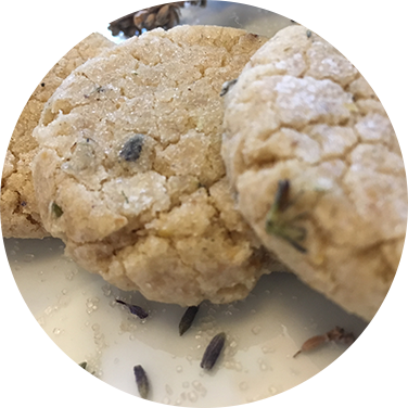 Cookies - Peanut Butter Cookie (376x376), Png Download