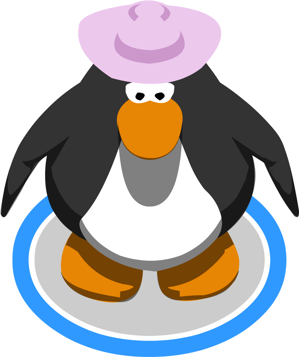 Pink Cowgirl Hat In-game - Club Penguin The Popstar (1074x1282), Png Download