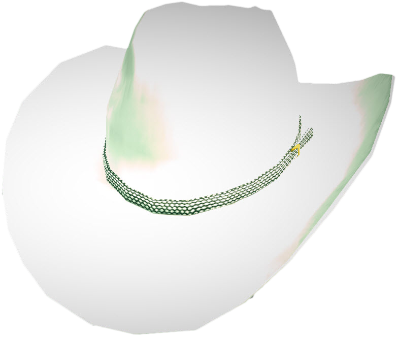 White Cowboy Hat Png - Cowboy Hat (784x664), Png Download