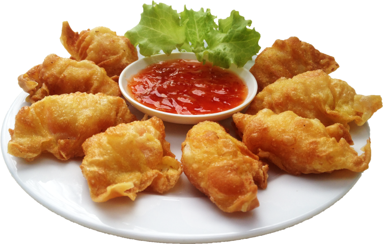 Won Ton Small - Deep Fryer (752x480), Png Download