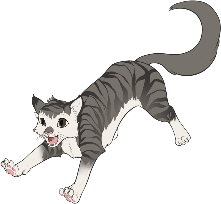 Cartoon Cat By Dragoart-d2z3h7e - Cartoon Cat Transparent (950x840), Png Download