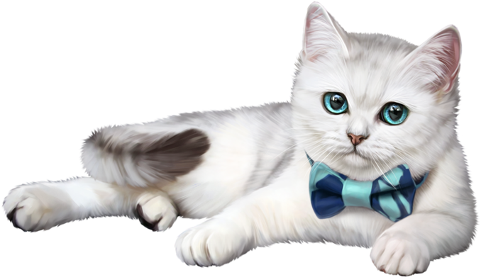 Fotografía Animal, Arte Sobre Gatos, Gatos Lindos, - Ты Прекрасна (699x589), Png Download