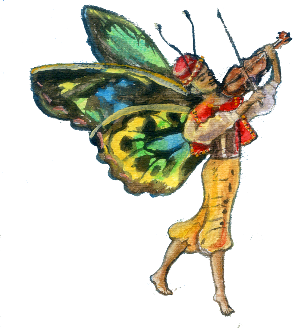 Sandro The Violinist - Violin (1000x1157), Png Download