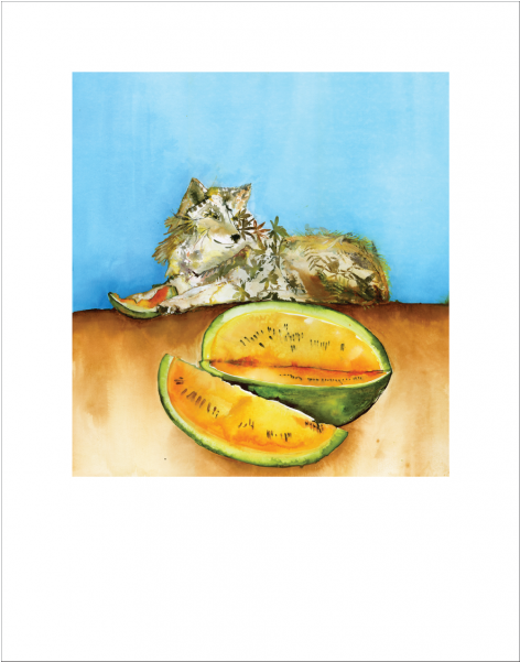 More Views - Peel (800x600), Png Download