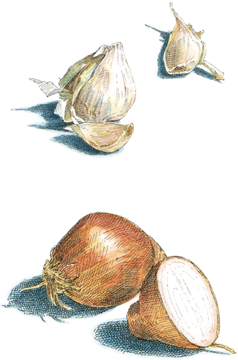 Become A Better Cook Guaranteed - Shell (343x519), Png Download