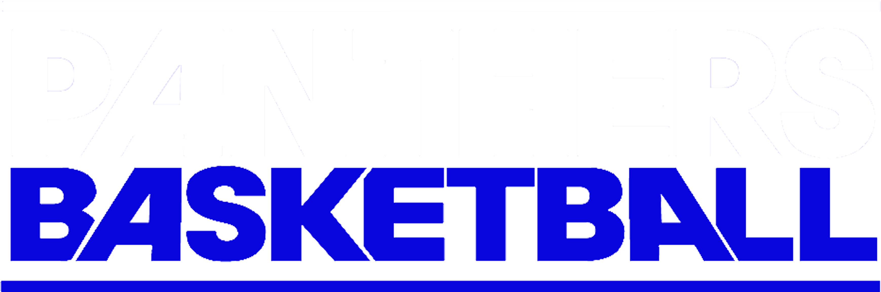 Panthers Basketball - Basketball (3600x1196), Png Download