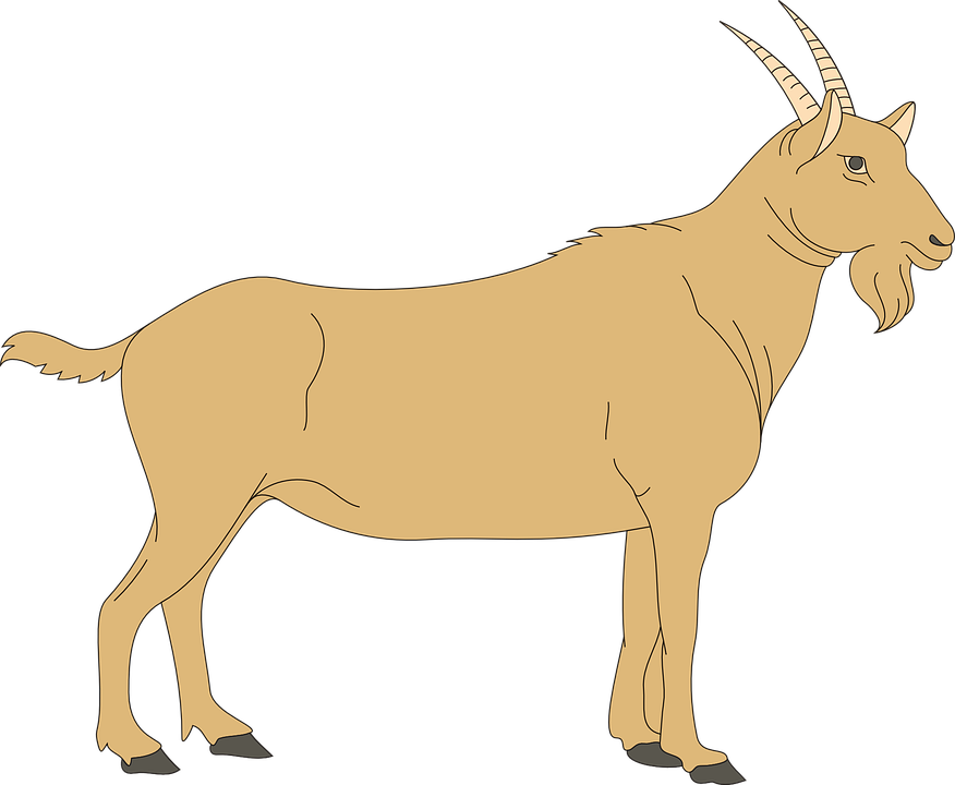 Brown Goat Svg Clip Arts 600 X 493 Px (600x493), Png Download