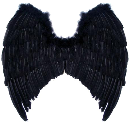 Black Angel Wings Png Image Background - Black Angel Wings (500x500), Png Download