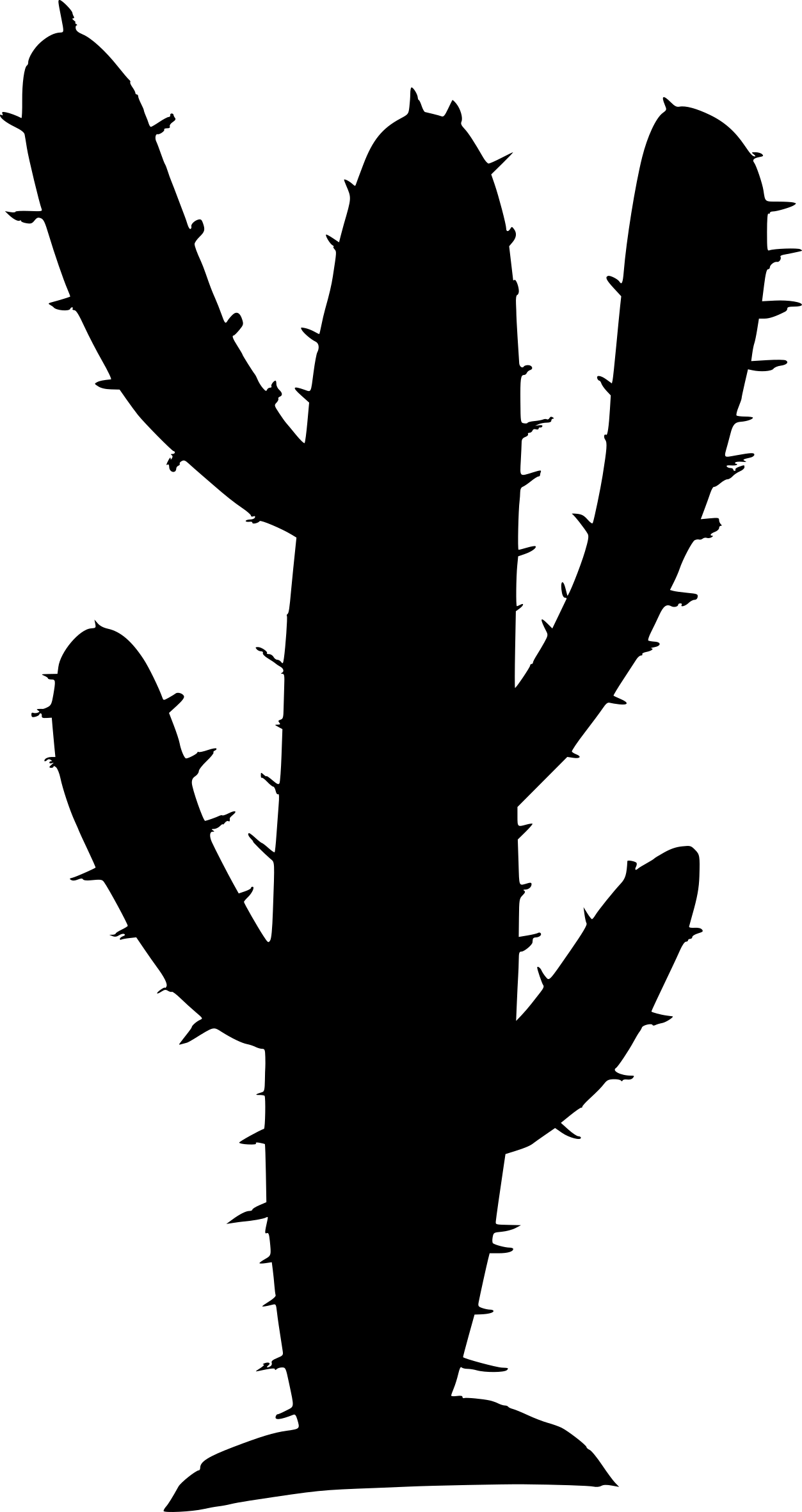 Free Download - Cactus (1253x2363), Png Download