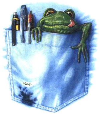 Frog In A Pocket (416x448), Png Download